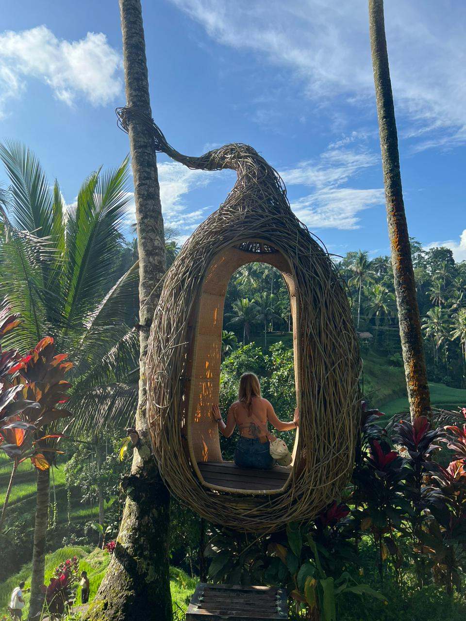 Guest sitting inside a giant woven nest swing among palm trees