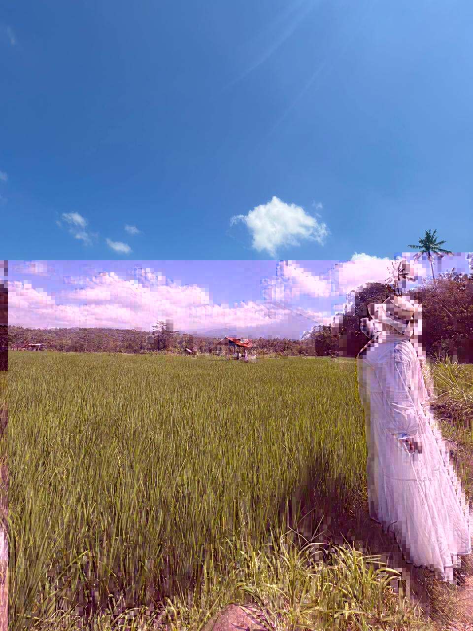 Guest walking through green rice fields in Bali