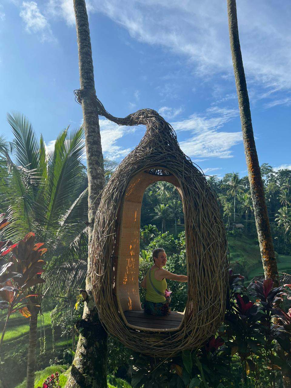 Guest in a woven bird nest photo spot surrounded by palms