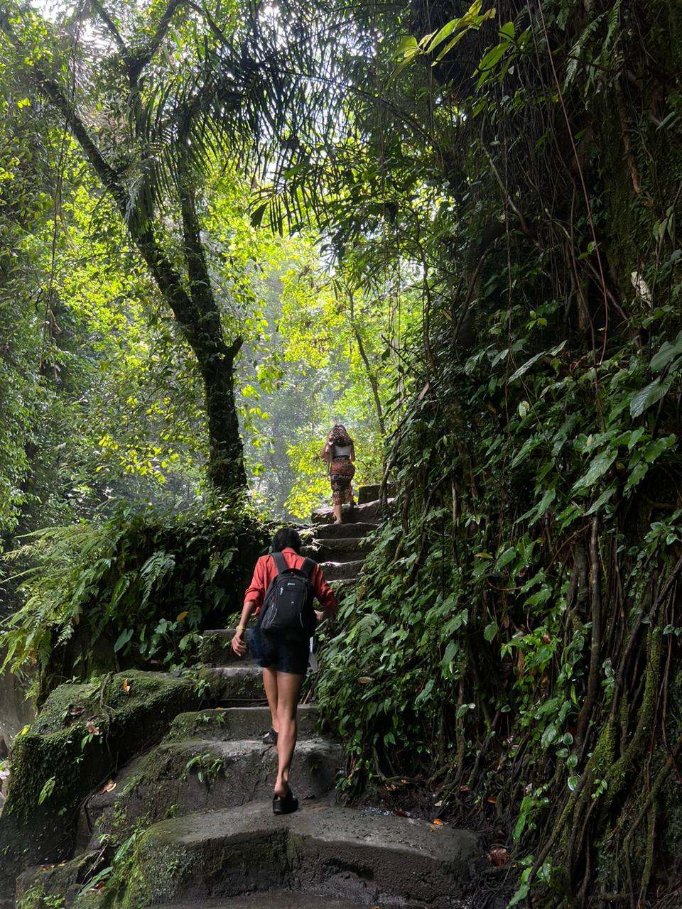 Guests climbing jungle steps to a waterfall