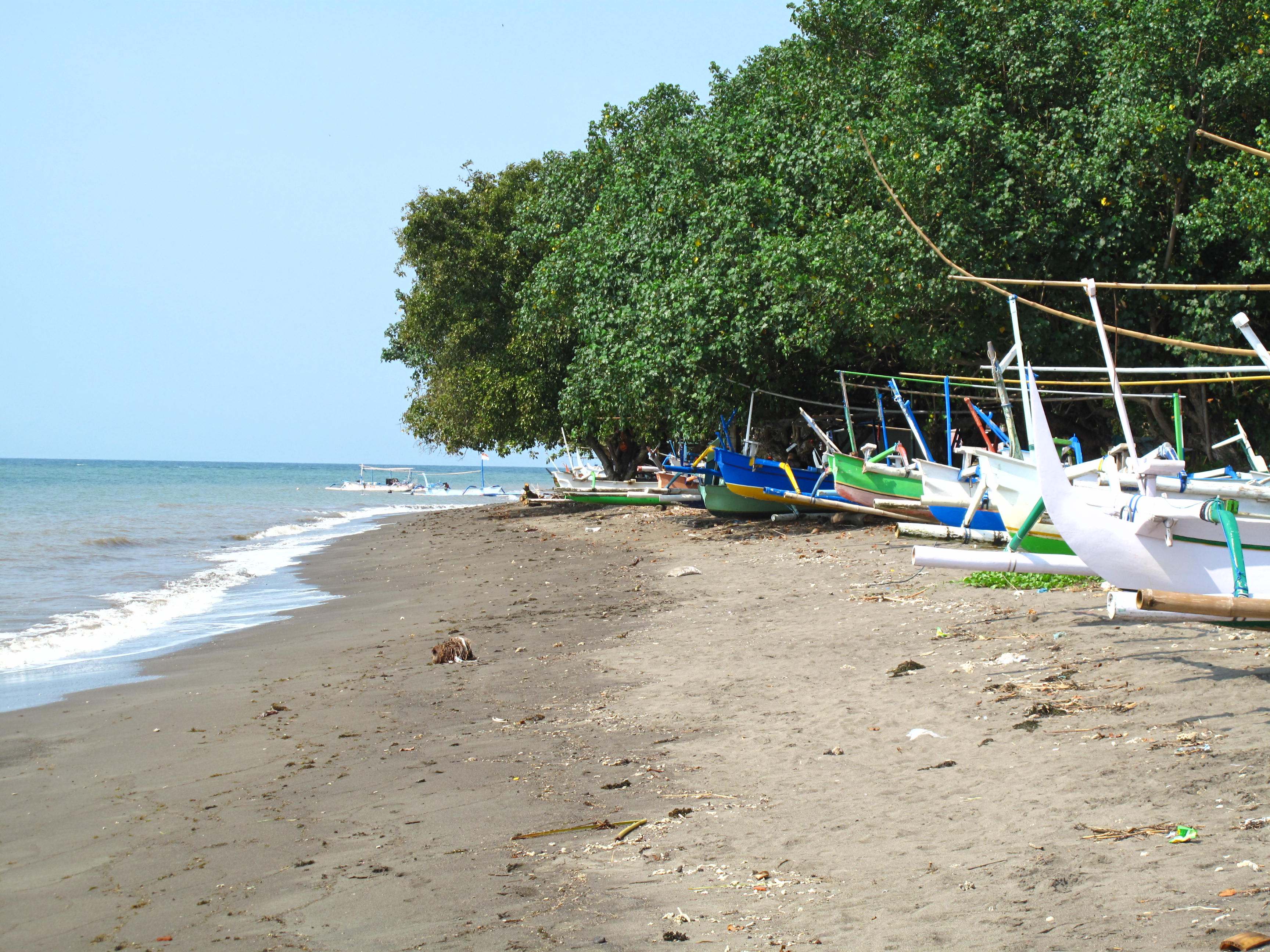 Jukung outrigger boats pulled up on the beach at Lovina